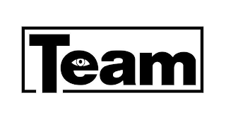 TEAM logo