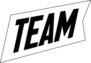 TEAM logo