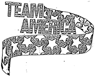 TEAM AMERICA logo