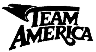 TEAM AMERICA logo