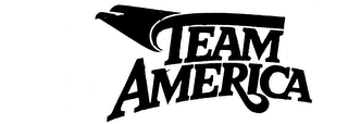 TEAM AMERICA logo