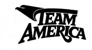 TEAM AMERICA logo