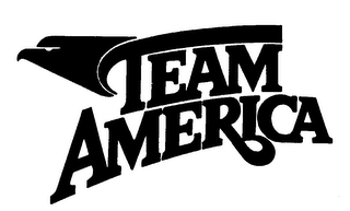 TEAM AMERICA logo