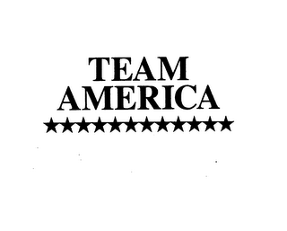 TEAM AMERICA logo
