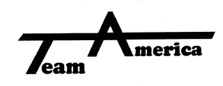 TEAM AMERICA logo