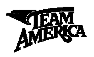 TEAM AMERICA