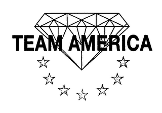 TEAM AMERICA logo