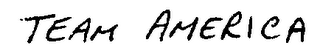 TEAM AMERICA logo