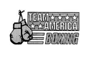 TEAM AMERICA BOXING logo