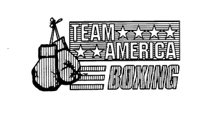 TEAM AMERICA BOXING logo