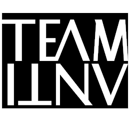 TEAM ANTI logo