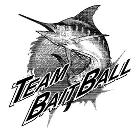 TEAM BAITBALL logo