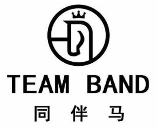 TEAM BAND logo