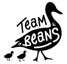 TEAM BEANS logo