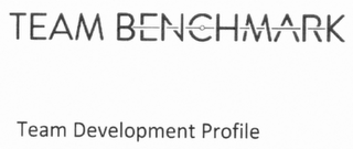TEAM BENCHMARK TEAM DEVELOPMENT PROFILE logo