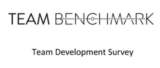 TEAM BENCHMARK TEAM DEVELOPMENT SURVEY logo