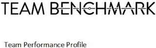 TEAM BENCHMARK TEAM PERFORMANCE PROFILE logo