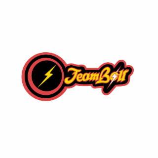 TEAM BOLT logo