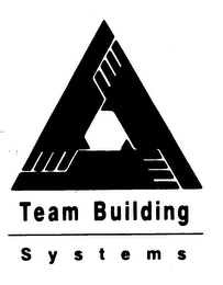TEAM BUILDING SYSTEMS logo