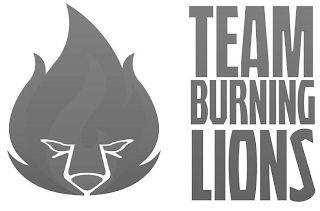 TEAM BURNING LIONS logo