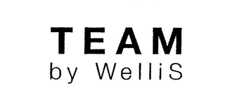 TEAM BY WELLIS logo