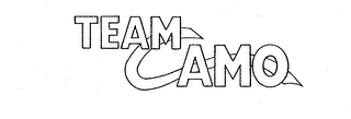 TEAM CAMO logo