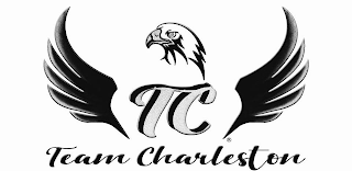 TEAM CHARLESTON logo