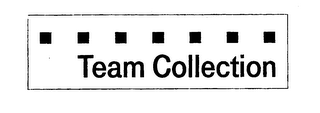 TEAM COLLECTION logo