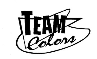 TEAM COLORS logo