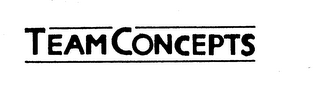 TEAM CONCEPTS logo