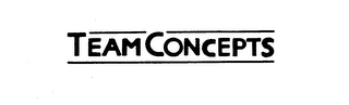 TEAM CONCEPTS logo