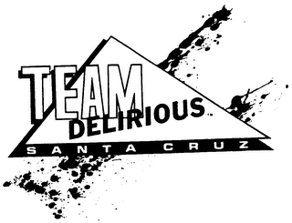 TEAM DELIRIOUS SANTA CRUZ logo
