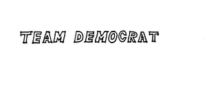 TEAM DEMOCRAT logo