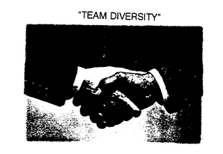 "TEAM DIVERSITY" logo