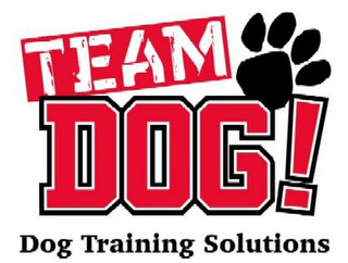 TEAM DOG! DOG TRAINING SOLUTIONS logo