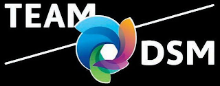 TEAM DSM logo