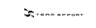 TEAM EFFORT logo