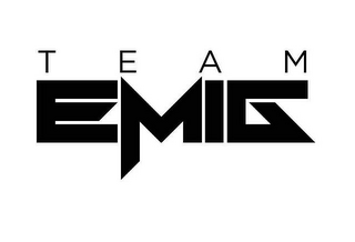 TEAM EMIG logo