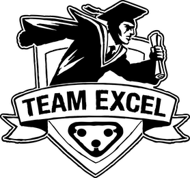 TEAM EXCEL logo