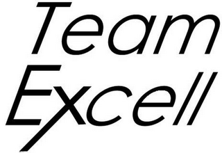 TEAM EXCELL logo