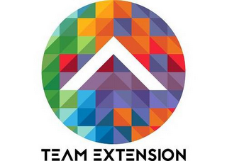 TEAM EXTENSION logo