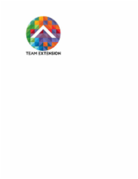 TEAM EXTENSION logo