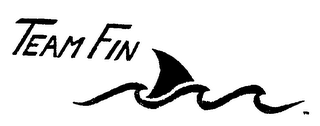 TEAM FIN logo