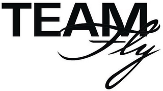 TEAM FLY logo