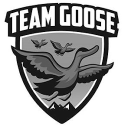 TEAM GOOSE logo