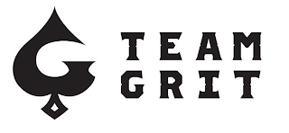 TEAM GRIT G logo