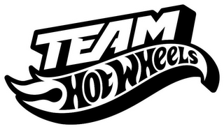 TEAM HOT WHEELS logo