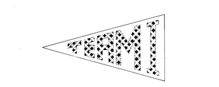 TEAM I logo
