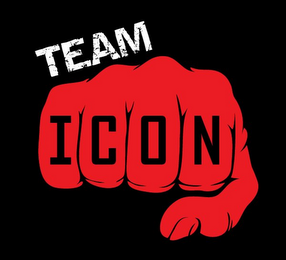 TEAM ICON logo