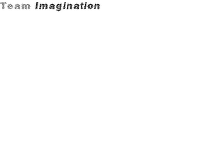 TEAM IMAGINATION logo